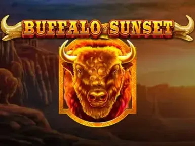 Sharkroll Casino screenshot